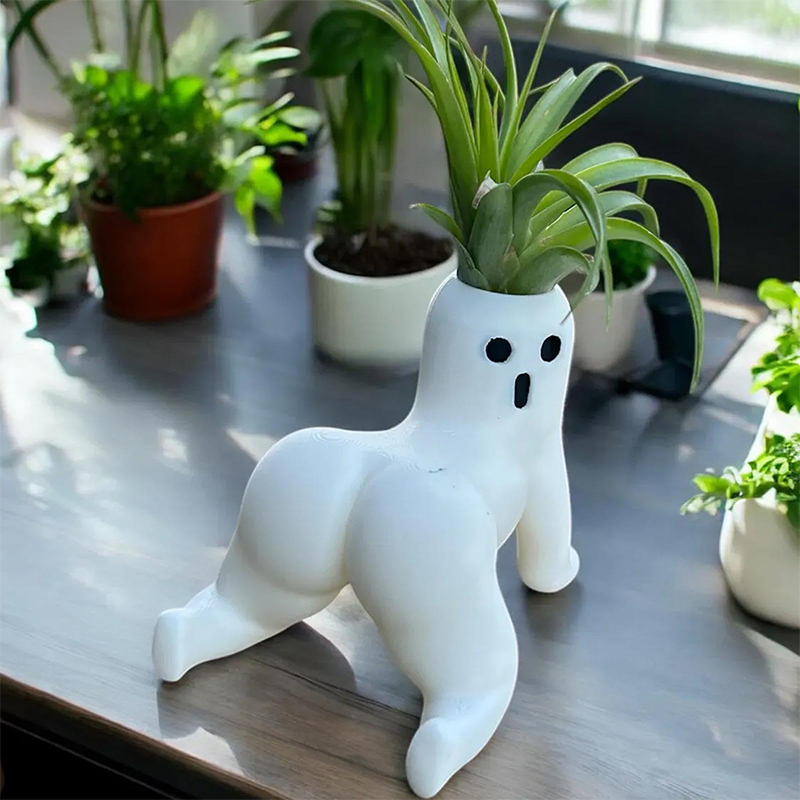 Echeveria Succulent - Grappige Big Booty Ghost Planter Big