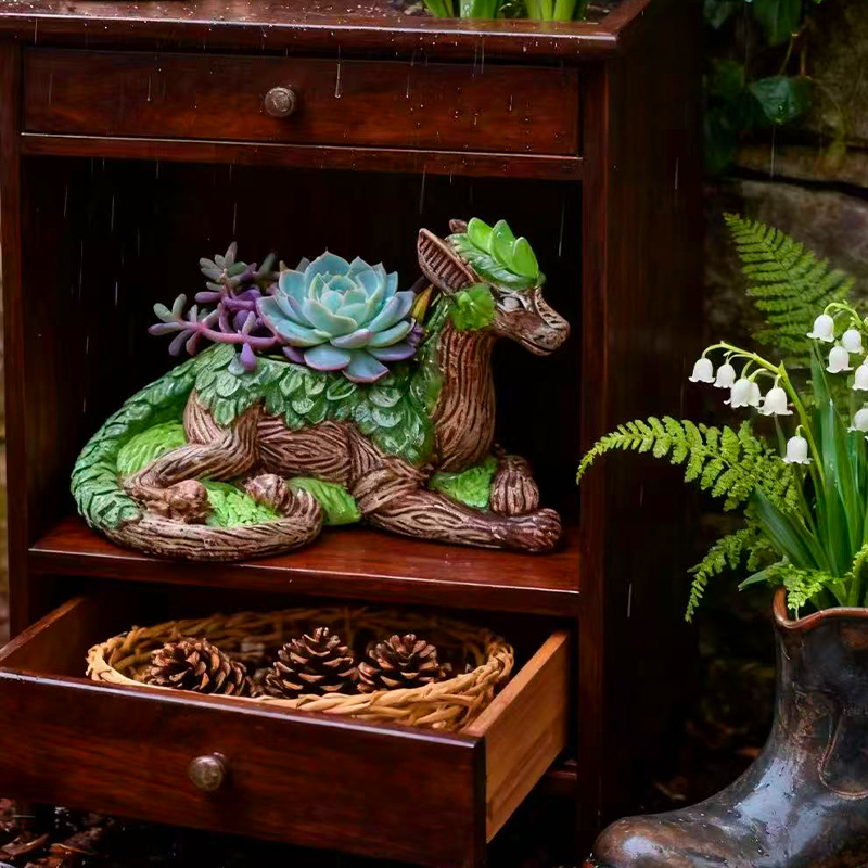 Creatieve Dragon Tree Bloempot - Echeveria Succulent recensie en prijs