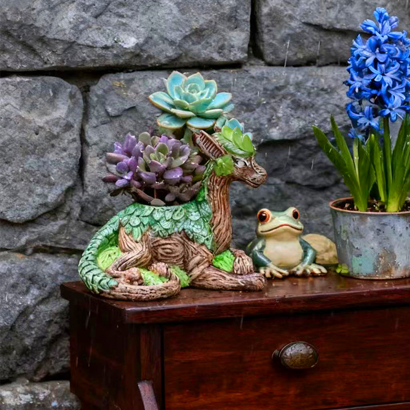 Creatieve Dragon Tree Bloempot - Echeveria Succulent recensie en prijs