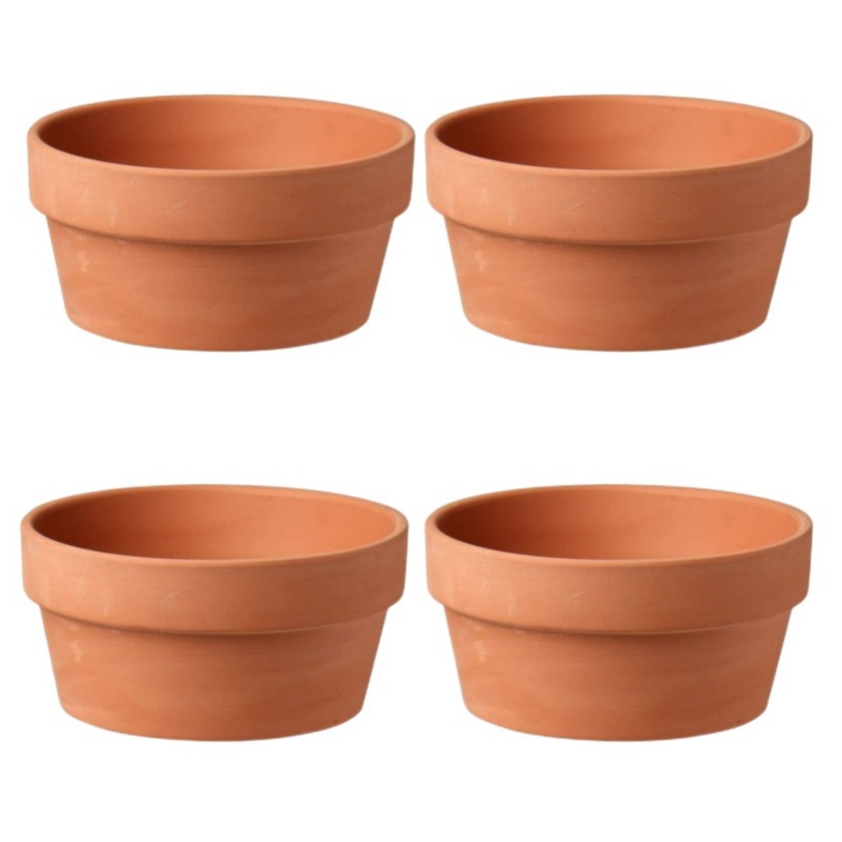 6 Stuks Terracotta Buldpotten  - Echeveria Succulent recensie en prijs