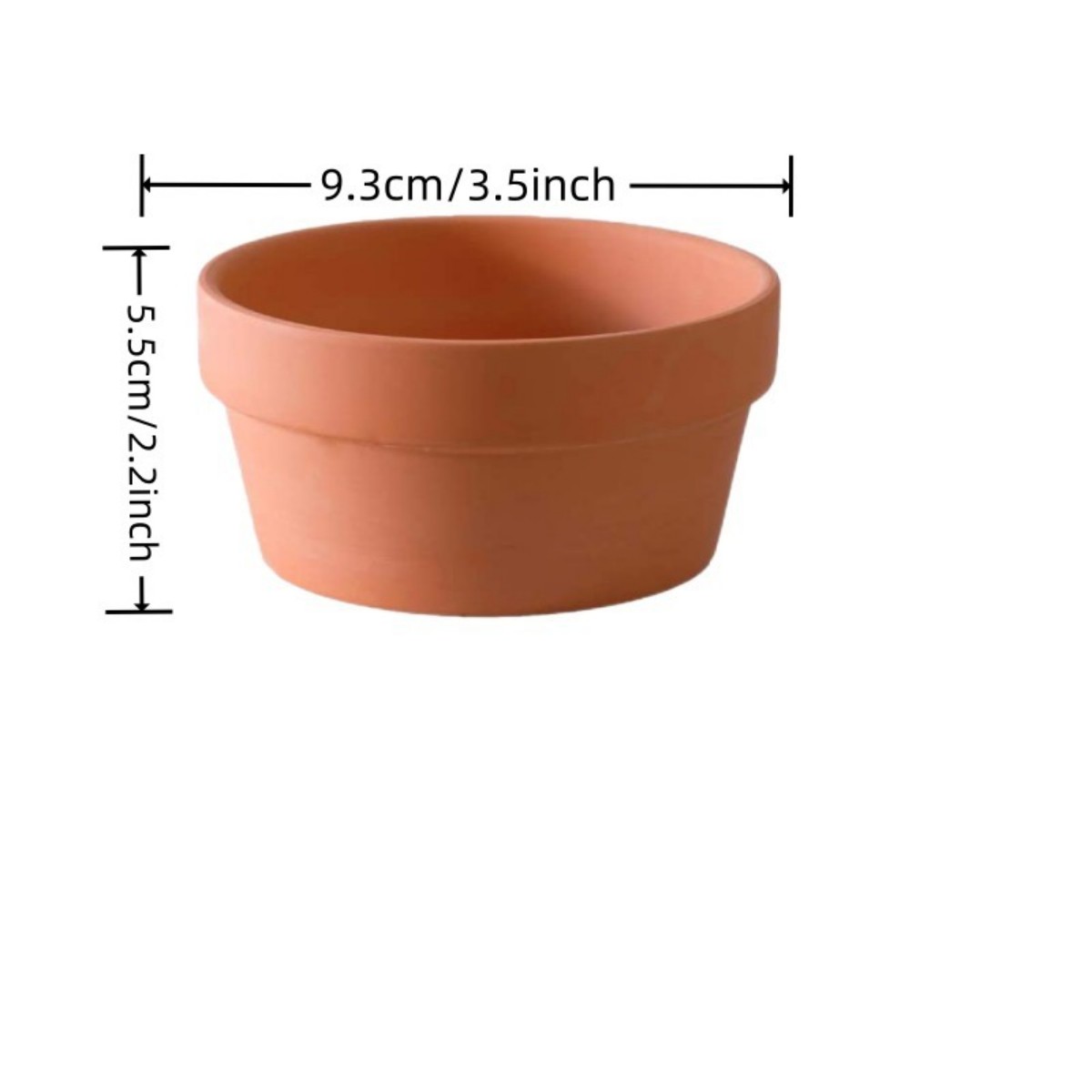6 Stuks Terracotta Buldpotten  - Echeveria Succulent recensie en prijs