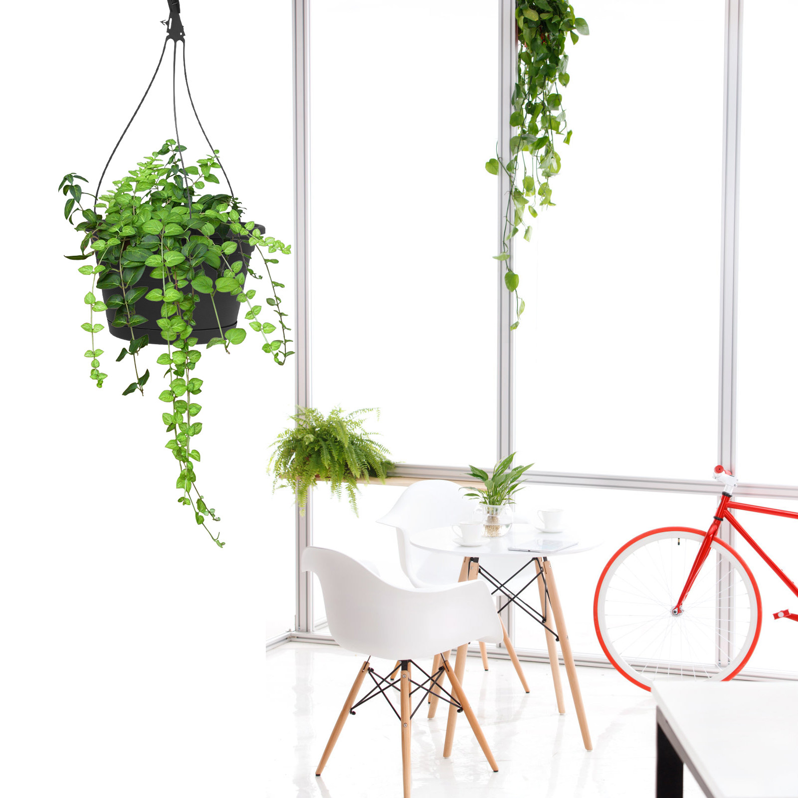 1 stuks hangende pot voor een  - Spider Plant Hanging recensie en prijs