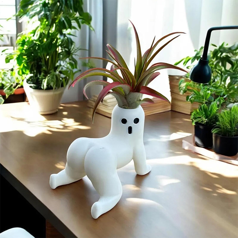 Grappige Big Booty Ghost Plant - Echeveria Succulent recensie en prijs
