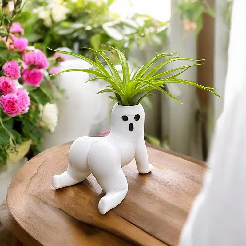 Grappige Big Booty Ghost Plant - Echeveria Succulent recensie en prijs