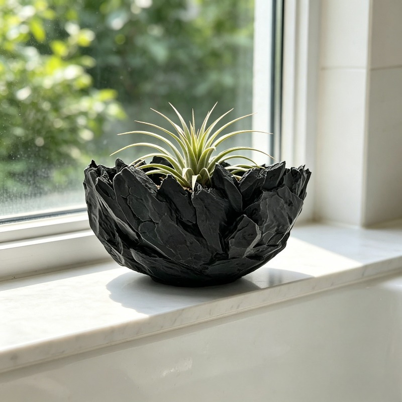 Plantenpot Grote steentextuur  - Echeveria Succulent recensie en prijs