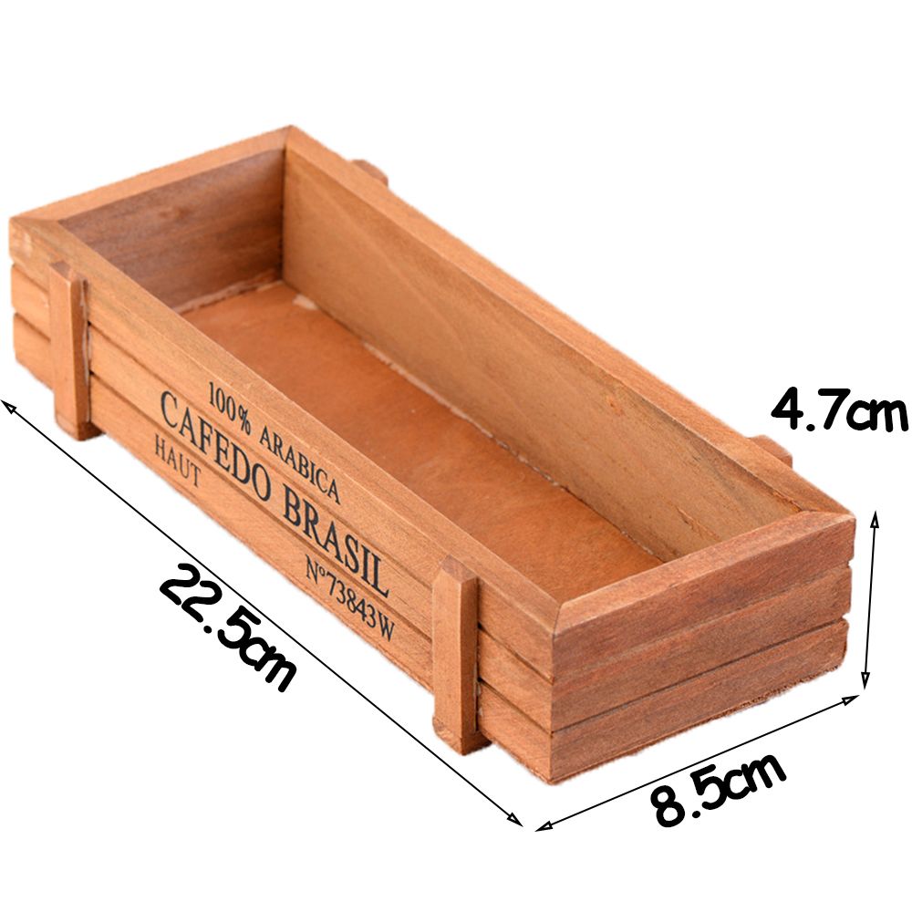 1PC Gereedschap Tuin Decor Tro - Echeveria Succulent recensie en prijs