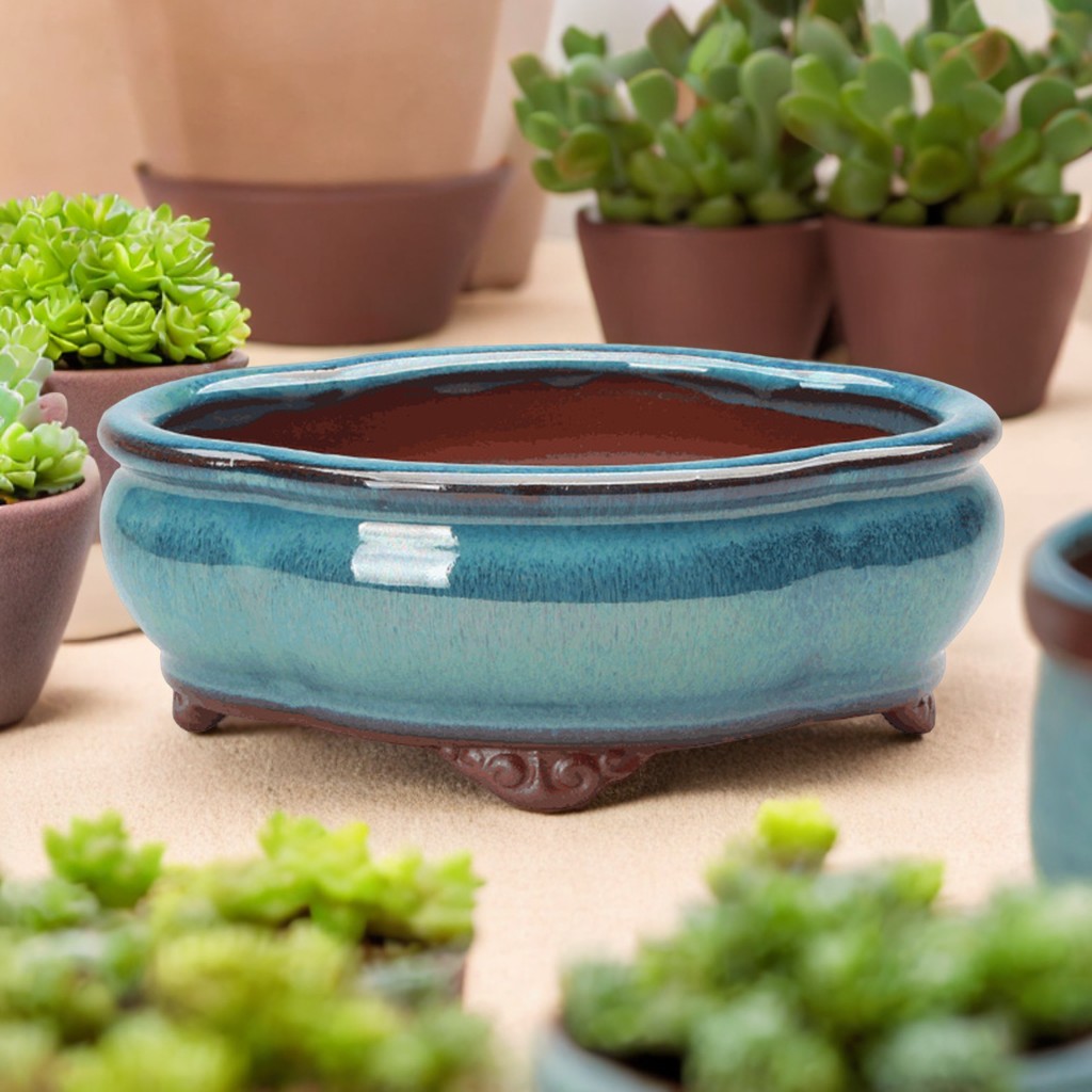 Keramische succulente bloempot - Echeveria Succulent recensie en prijs
